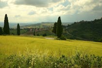 Capture stunning photos at Cipressi di Monticchiello