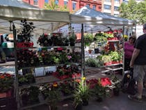 On Sunday's, visit the Greenmarket on 79th and Columbus