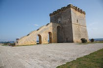 Explore Torre di San Tommaso
