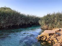 Swim at the Chidro River Reserve