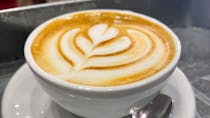Indulge in Delights at Doppio Civico Bar&Gelateria