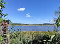 Explore the Mediterranean Wetland at Oasi WWF Lago di Burano