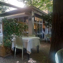 Shelter under the limes at La Brisa