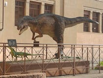 Explore the geological and paleontological wonders at Museo di Geologia e Paleontologia