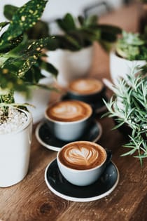 Enjoy coffee at Rosa Caffe