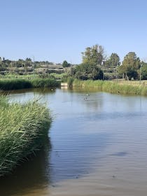 Explore Cillarese Park