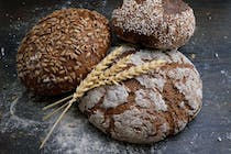Grab a pastry or a loaf at Pane & Co.
