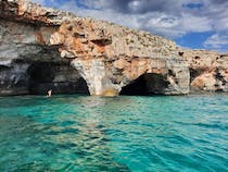 Explore stunning coastal caves with Leucos Escursioni in Barca