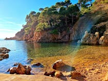 Explore the Deep Cova d'en Gispert Cave