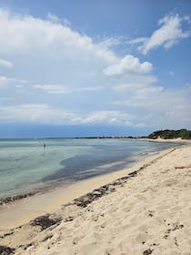 Explore the untouched beauty of Palude del Conte e Duna Costiera