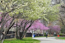 Keep fit at McCarren Park