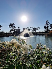 Enjoy the serenity of Giardino della Fortezza