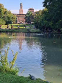 Lie in the grass at Parco Sempione