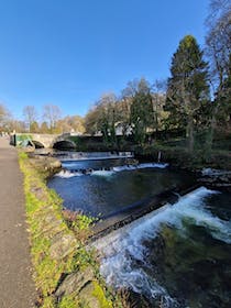 Explore the Meadows at Tavistock Park