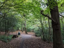 Explore Queen's Wood's Serene Trails and Playgrounds