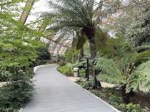 Stroll through the Serene Crossrail Place Roof Garden