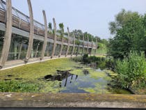 Explore the Art Pavilion in Mile End Park