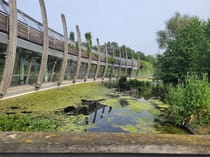 Explore the Art Pavilion in Mile End Park