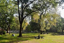 People watch in the always vibrant Tompkin's Square Park