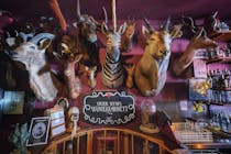 Explore the Viktor Wynd Museum of Curiosities