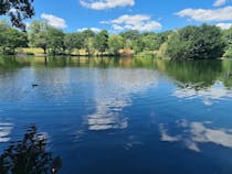 Explore Grovelands Park's Natural Beauty