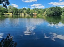 Explore Grovelands Park's Natural Beauty