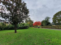 Take a stroll through Hillside Gardens Park