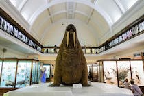 Explore Horniman Museum and Gardens