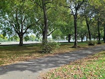 Relax in Wandsworth Park