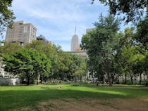 Relax in Madison Square Park