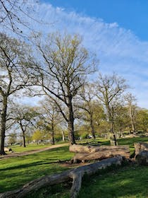 Take a stroll through Kingston Gate