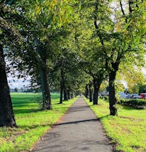 Take a relaxing walk through Gorringe Park