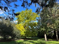 Explore East Greenwich Pleasaunce