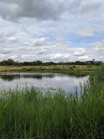 Explore Greenwich Peninsula Ecology Park