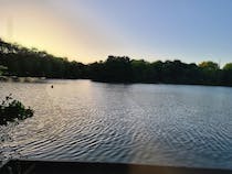 Explore South Norwood Lake & Grounds