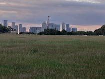 Explore Blackheath Common's green spaces