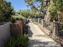 Explore the vibrant Venice streets