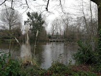 Explore Manor House Gardens