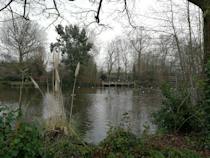 Explore Manor House Gardens