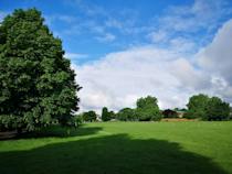 Unwind at Durnsford Road Park