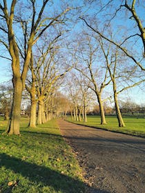 Explore Gladstone Park