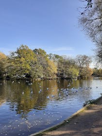 Explore the beauty of Tooting Bec Common