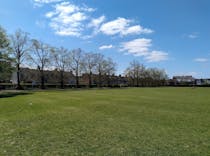 Enjoy the greenery at Haydons Road Recreation Ground