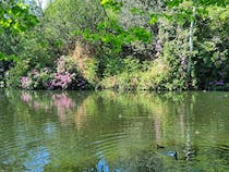 Explore Wandsworth Common Pond