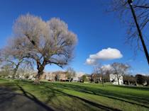 Take a stroll through Wandsworth Common