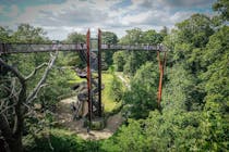 Explore the Treetop Walkway at Kew Gardens