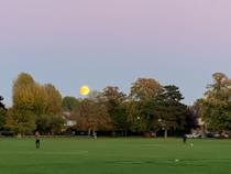 Let off some steam at Dundonald Recreation Ground