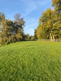 Explore Lloyd Park