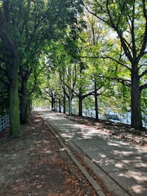 Relax and stroll along Île aux Cygnes