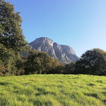 Explore Boschenheuvel Arboretum